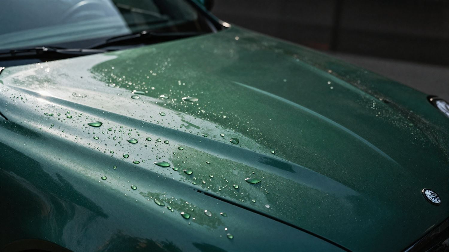 Water beading on freshly waxed deep green car paint